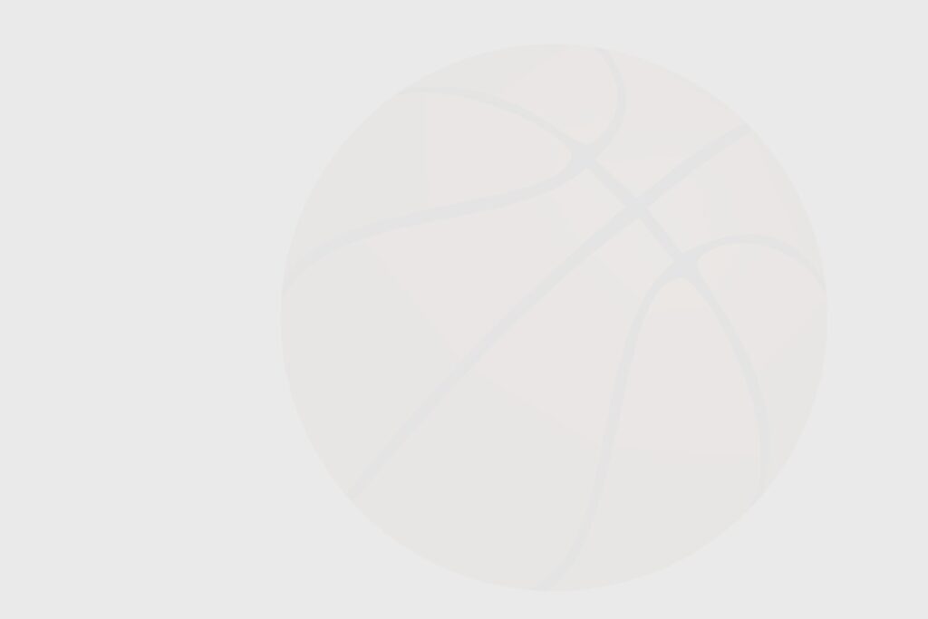 Blackeberg basket