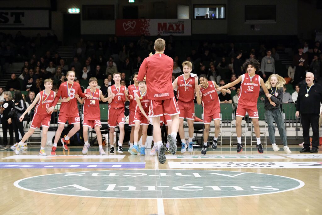 Blackeberg basket