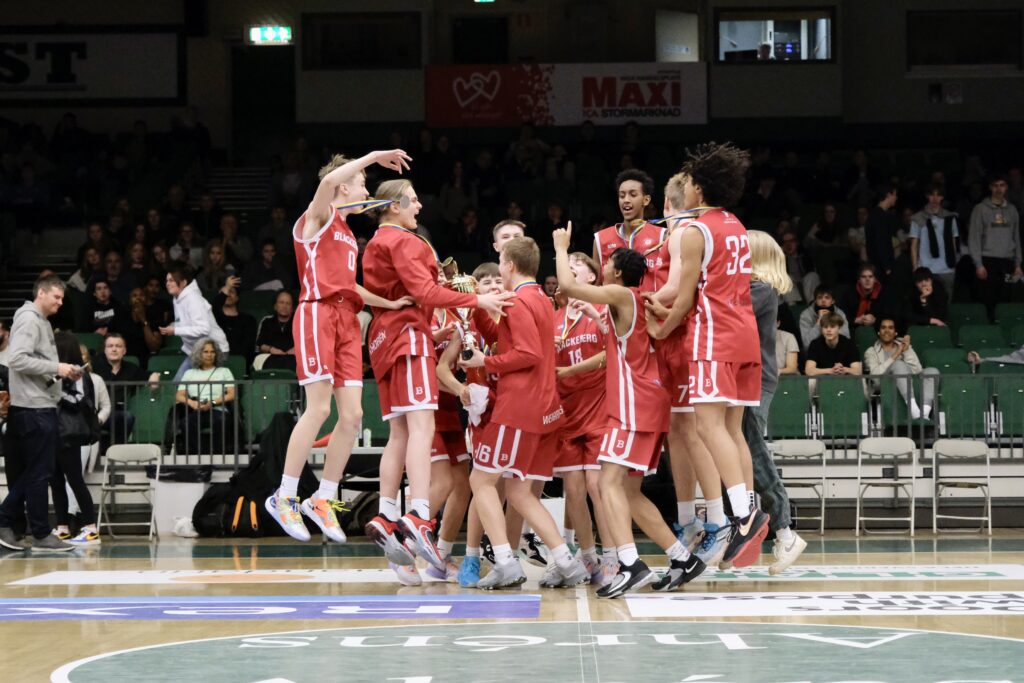 Blackeberg basket