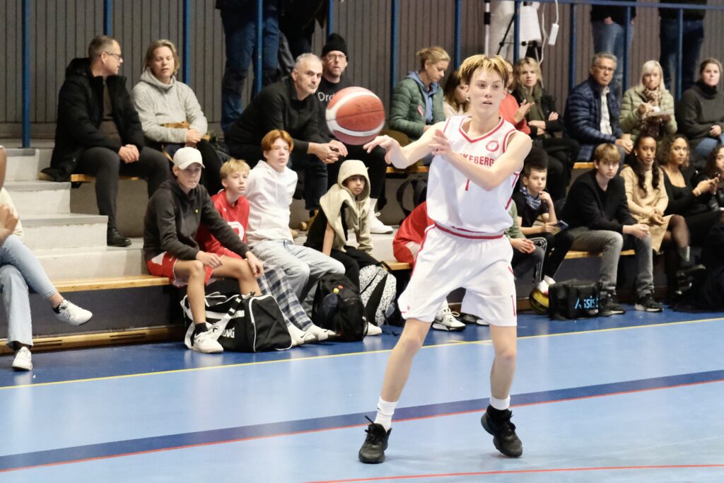 Blackeberg basket