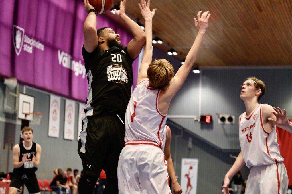 Blackeberg basket