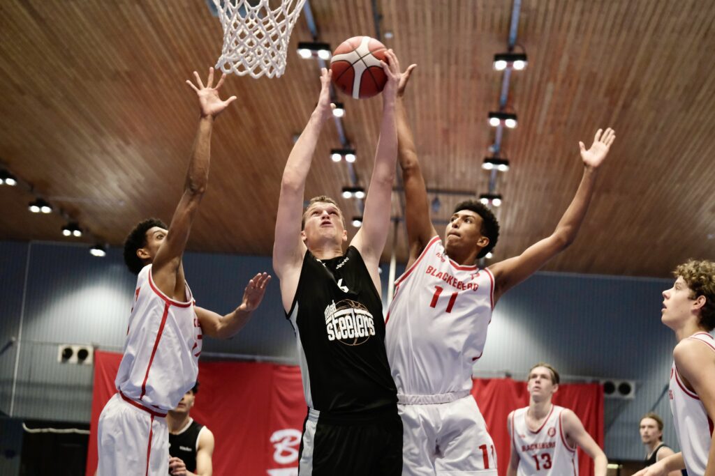 Blackeberg basket