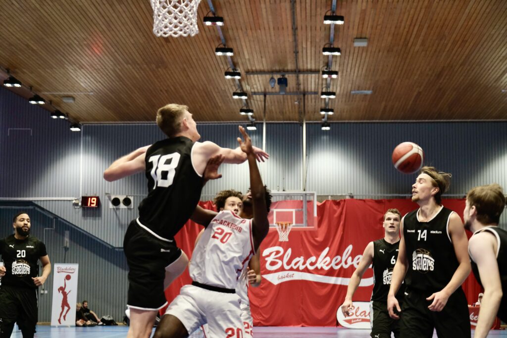 Blackeberg basket