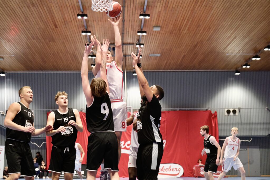 Blackeberg basket