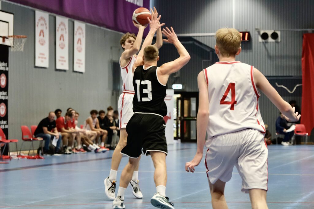 Blackeberg basket