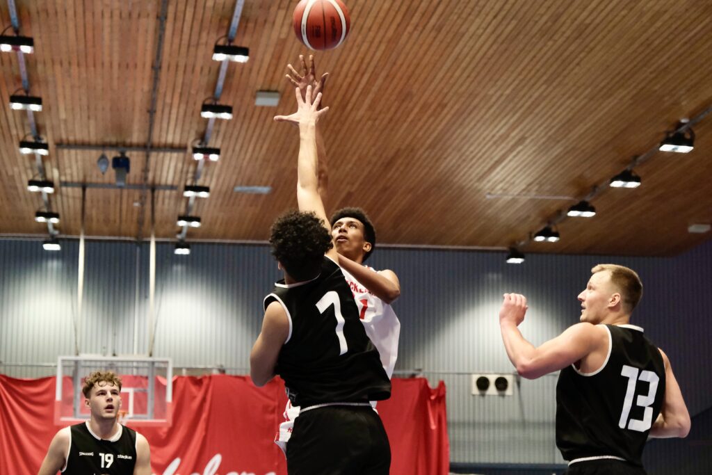 Blackeberg basket