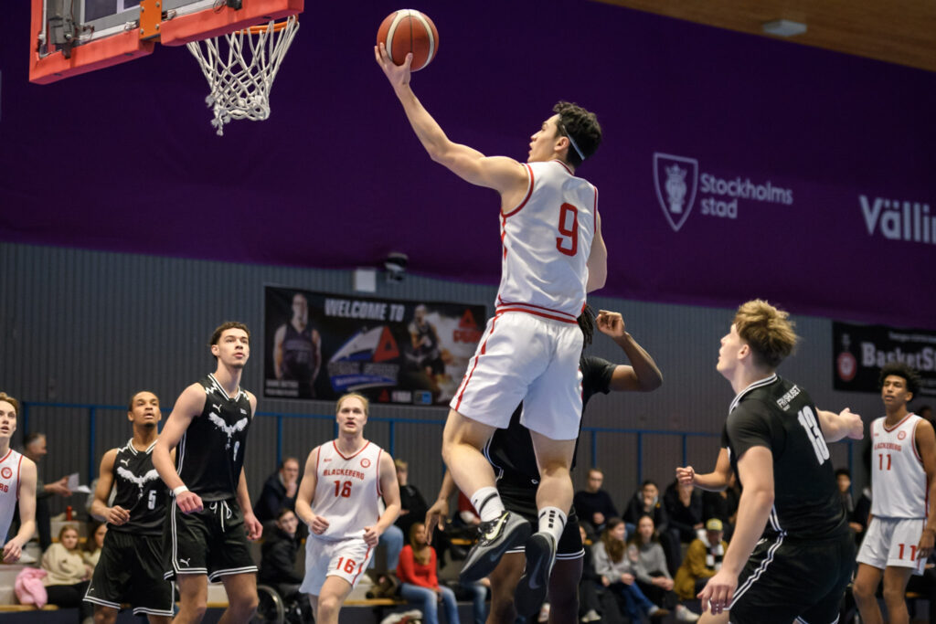 Blackeberg basket