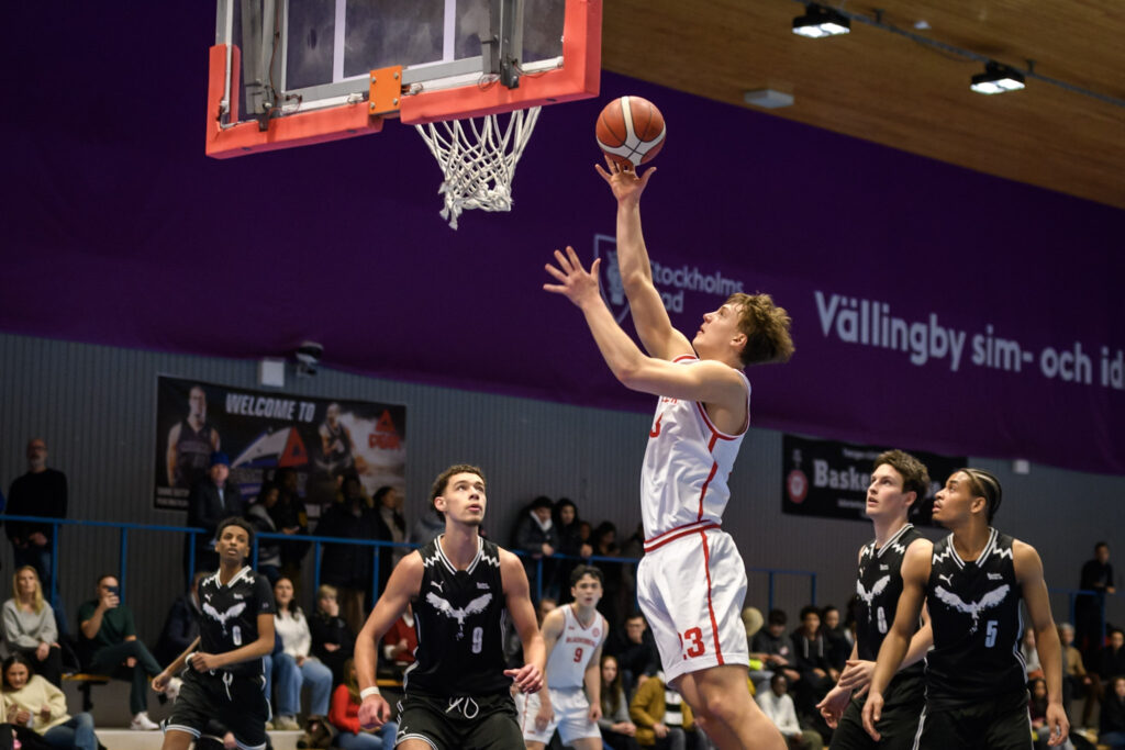 Blackeberg basket