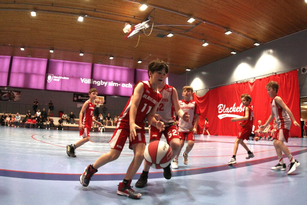 Blackeberg basket
